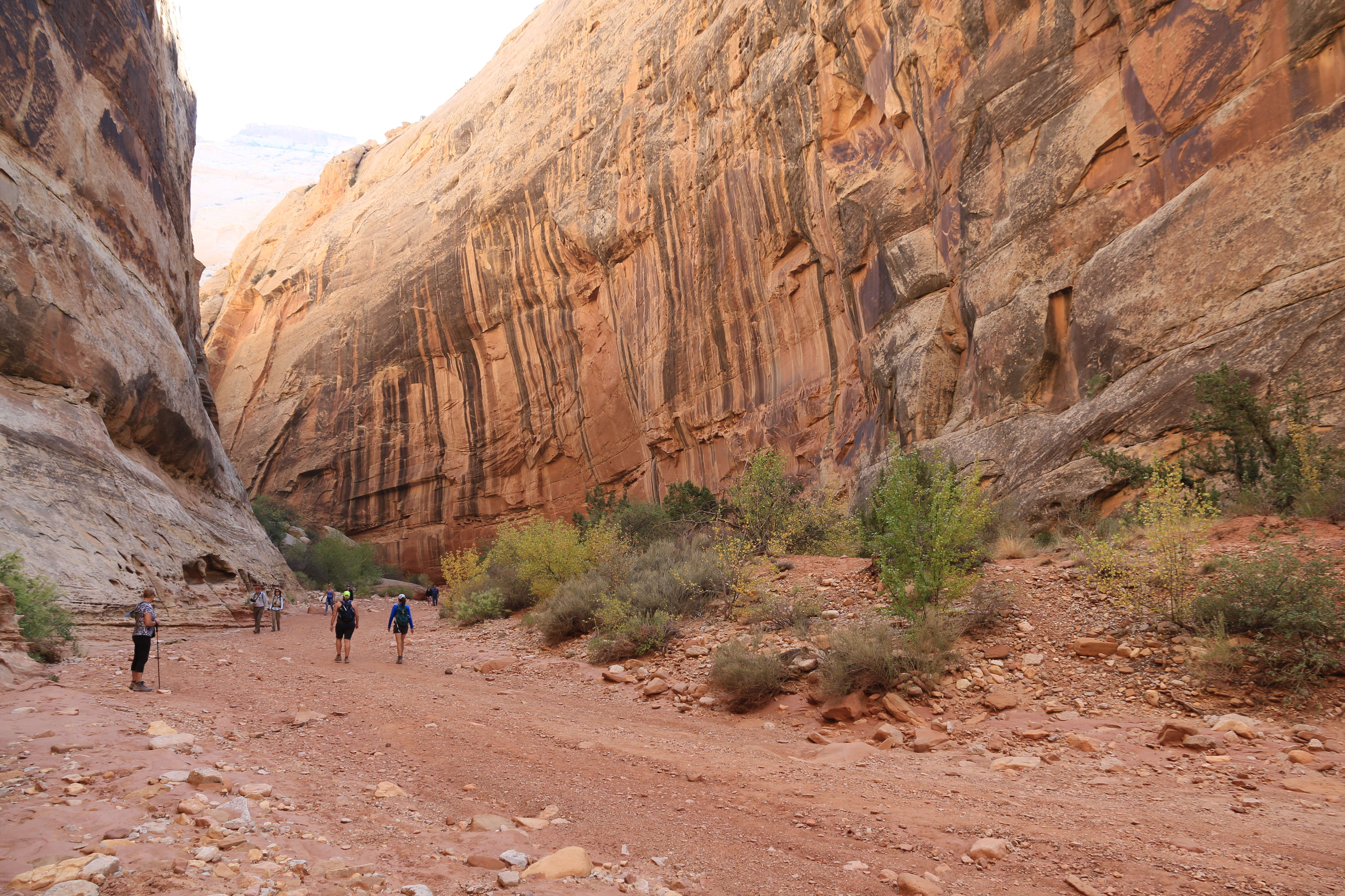 Capitol Reef NP